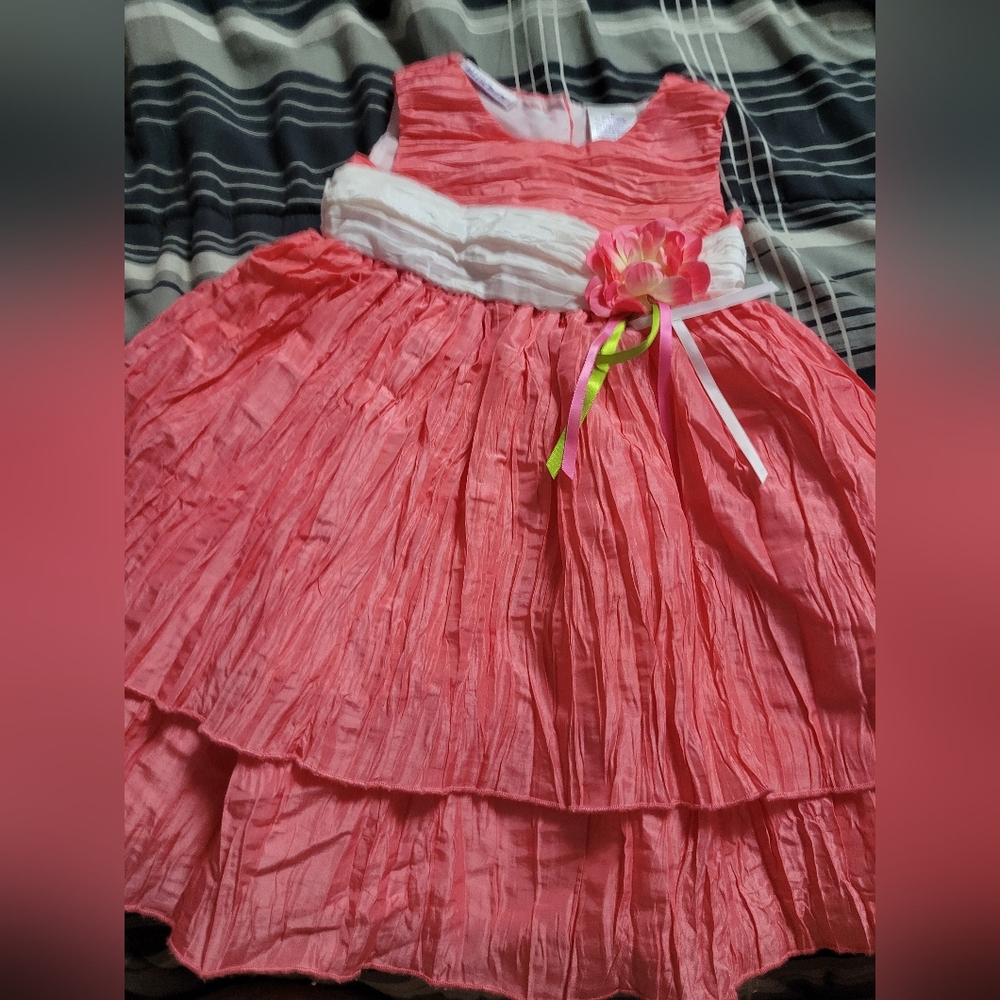BlueBeri 2t pink frull dress